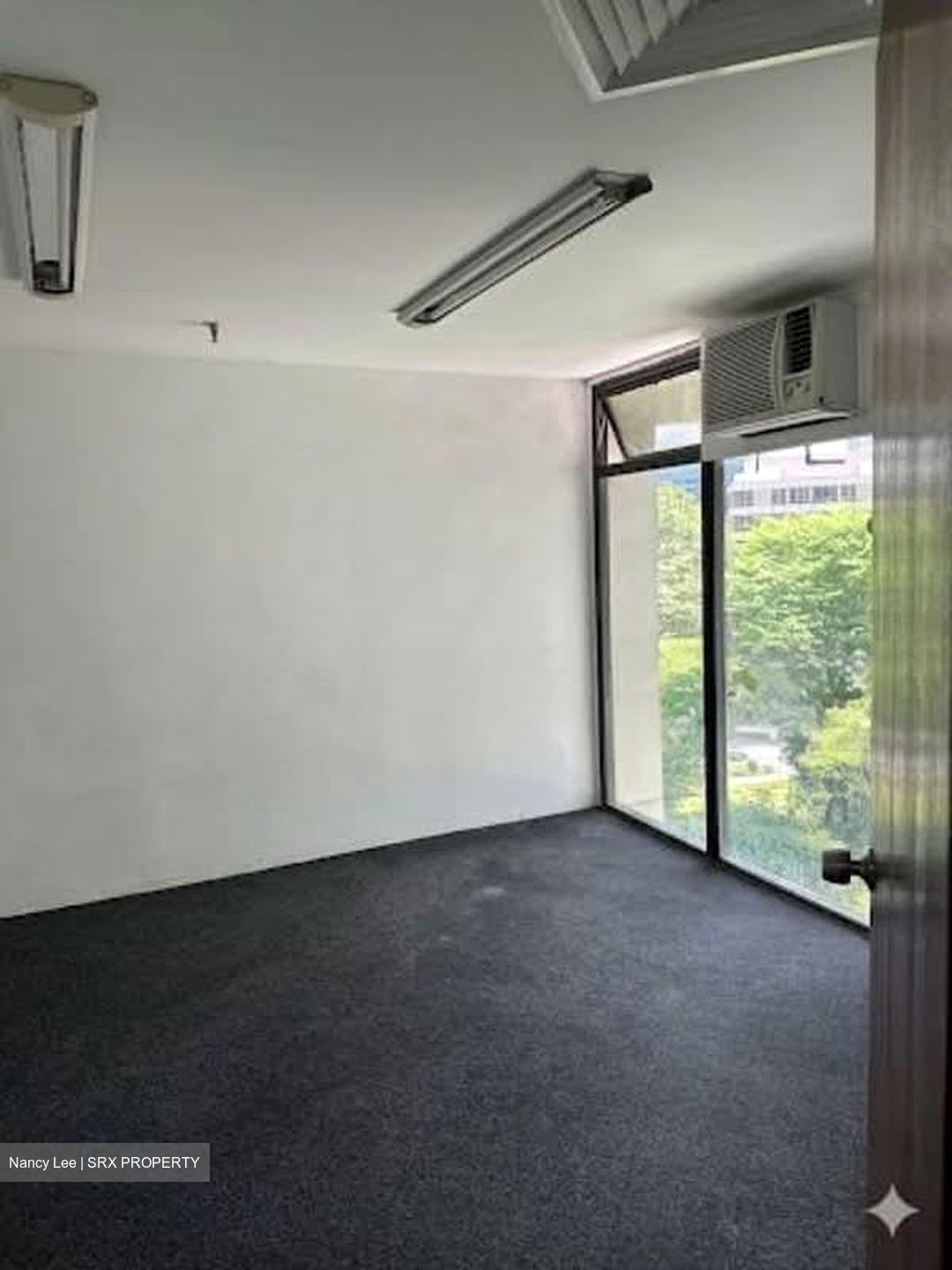 Orchard Plaza (D9), Office #558134001
